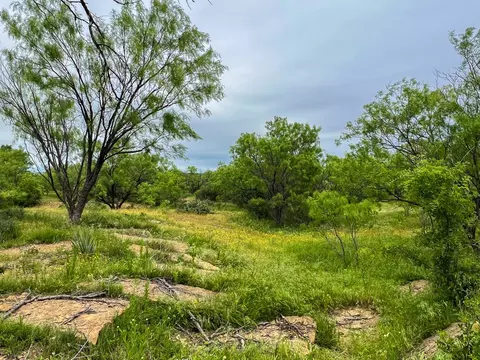 1570 Cr383 Rd, Woodson, TX 76491