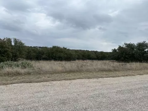 100 The Homestead Dr, Graford, TX 76449