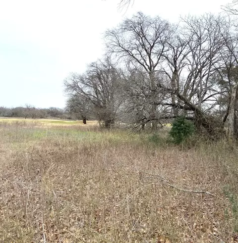 27205 Meadowmore Dr, Whitney, TX 76692