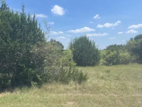 39333 Cedar Trl, Whitney, TX 76692