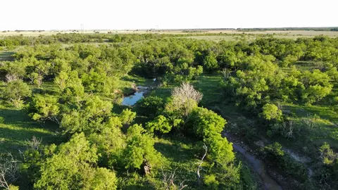 tbd County Road 211, Wingate, TX 79566