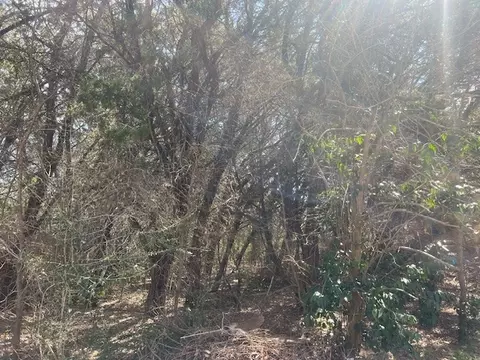 lot555 Cedar Way, Whitney, TX 76692