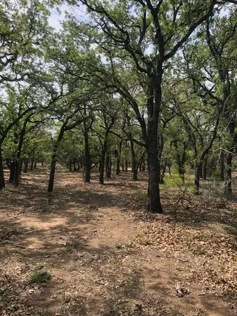 10645 Cr 479, Baird, TX 79504
