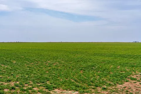 tbd County Road 381, Anson, TX 79501