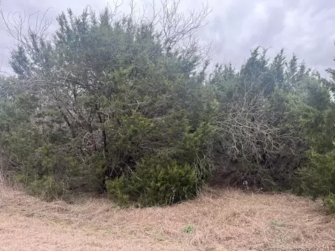 36047 Cedar Ridge Dr, Whitney, TX 76692