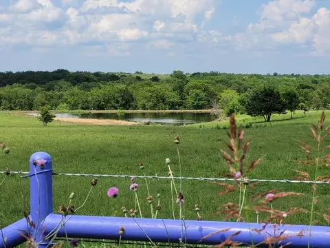 tbd County Road 212, Coolidge, TX 76635