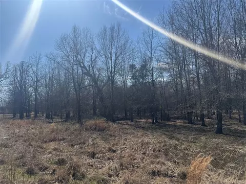 lot23 Pr 44005 Rd, Blossom, TX 75416