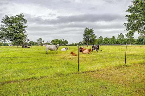 8931 County Road 313, Terrell, TX 75161