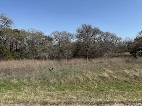 10053 Bluffview Ct, Whitney, TX 76692