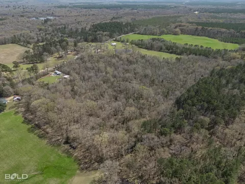 2062 Doc Steed Rd, Minden, LA 71055 photo 4