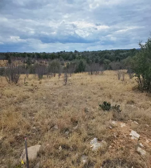 40 Southern Hills Ct, Graford, TX 76449