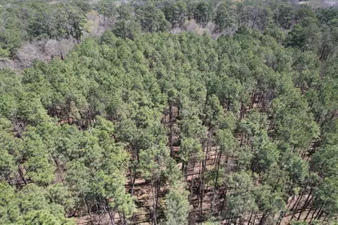 tbd Billy Ray Rd, Marshall, TX 75672 photo 8