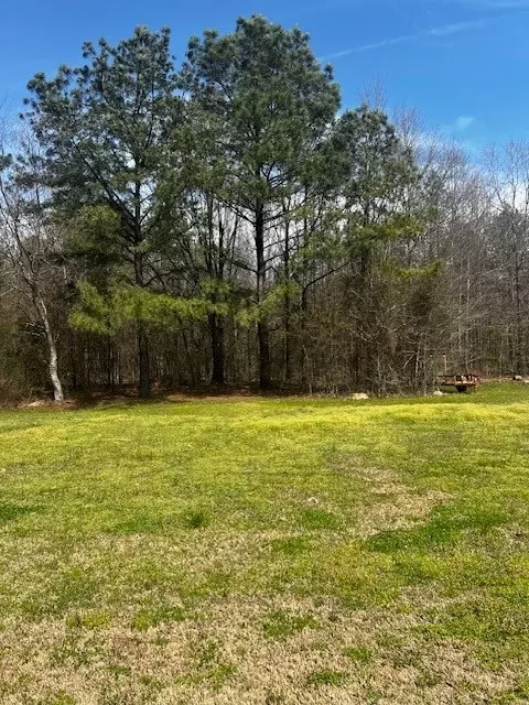 854 Old Plain Dealing Rd, Benton, LA 71006 photo 37