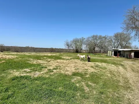 3 467 Ac County Road 4040, Ector, TX 75439 photo 3