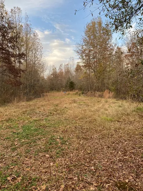 160 Zigler Rd, Avery, TX 75554 photo 12