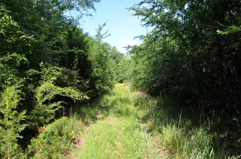760 Vz County Rd #2315, Eustace, TX 75124 photo 5