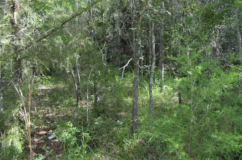760 Vz County Rd #2315, Eustace, TX 75124 photo 19