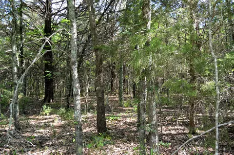 760 Vz County Rd #2315, Eustace, TX 75124 photo 9