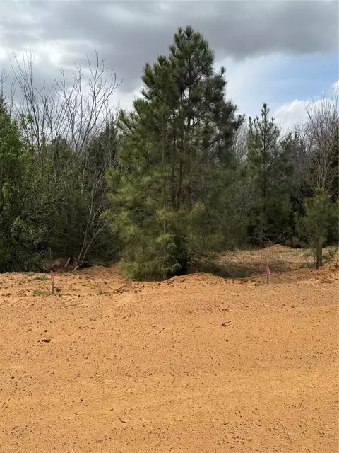 3552 Fm 3136 #LOT 13, Coyote Flats, TX 76031