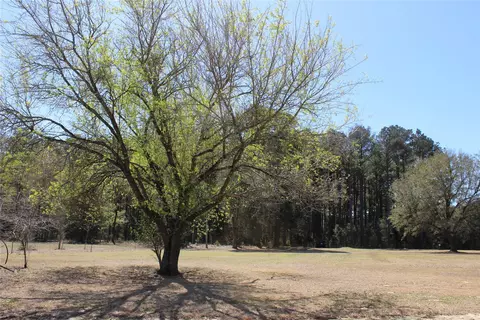 1226 Greene Rd, Minden, LA 71055 photo 39