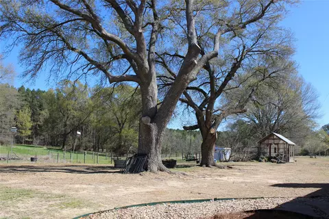 1226 Greene Rd, Minden, LA 71055 photo 38