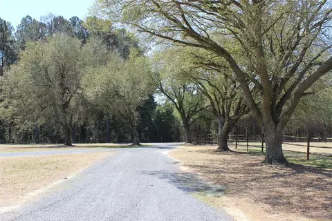 1226 Greene Rd, Minden, LA 71055 photo 4