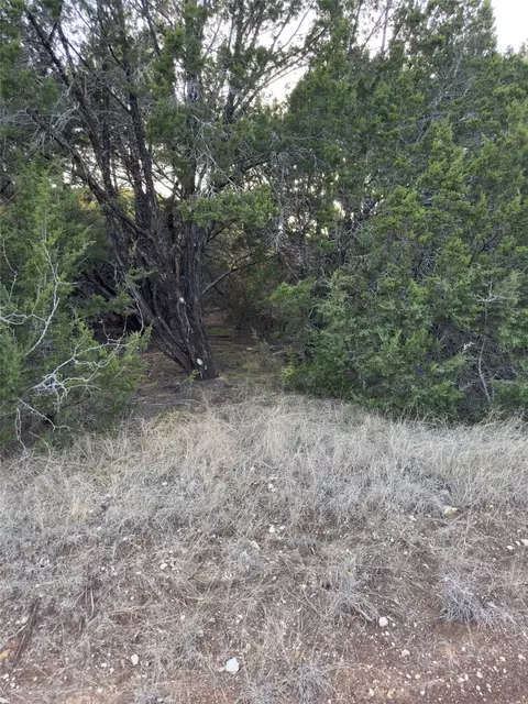 22295 Westmeadow Dr, Whitney, TX 76692