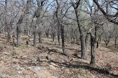 lot142 Cote D Azur Dr, Chico, TX 76431