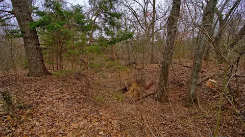 1501 Forrester Rd, Forestburg, TX 76239