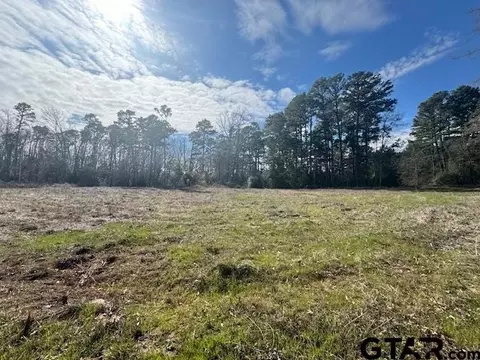 tbd County Road 224 #LOT 5, Arp, TX 75750