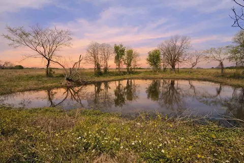 lot95 Stillwater Shores Dr, Corsicana, TX 75109