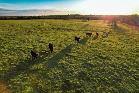 992 Bennett Rd, Howe, TX 75459 photo 21