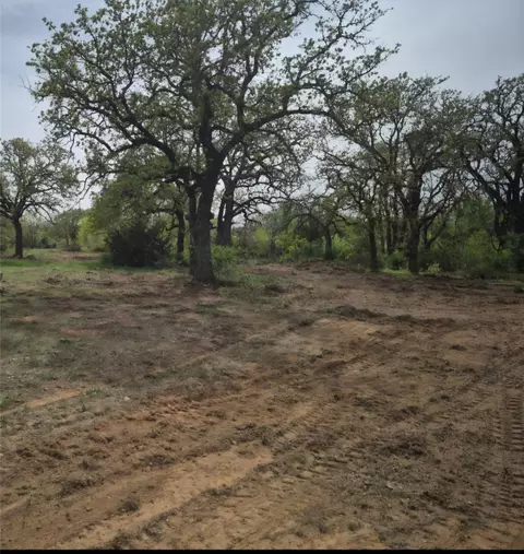 2001 Atticus Ct, Springtown, TX 76082 photo 2