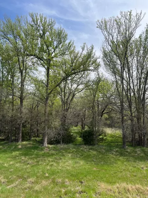 17944 N 16 Hwy, Graford, TX 76449