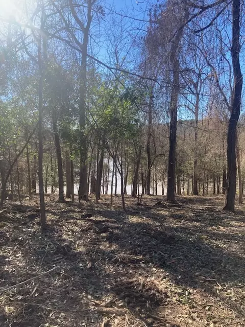 0 Quail Run Rd, Tyler, TX 75709