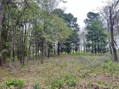 5392 Grand View Dr, Athens, TX 75752