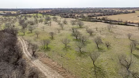 tbd Co 379 Rd, Rising Star, TX 76435