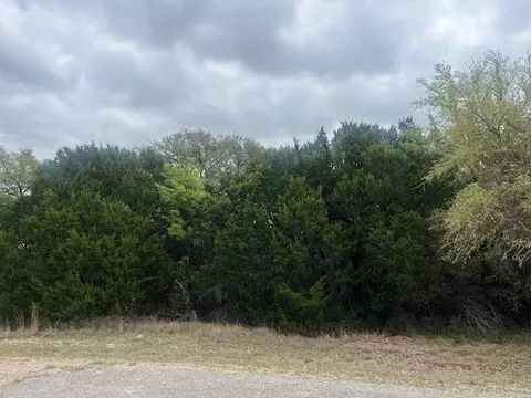 10019 Ridgeway Ct, Whitney, TX 76692