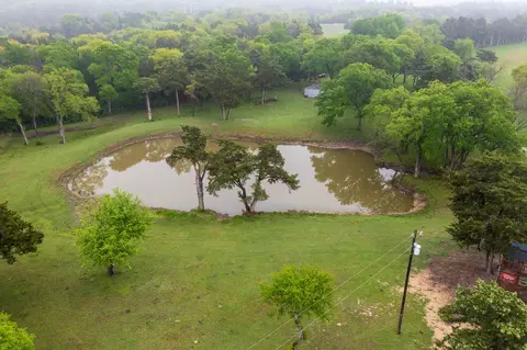 1302 Wilson Rd, Lancaster, TX 75146 photo 5