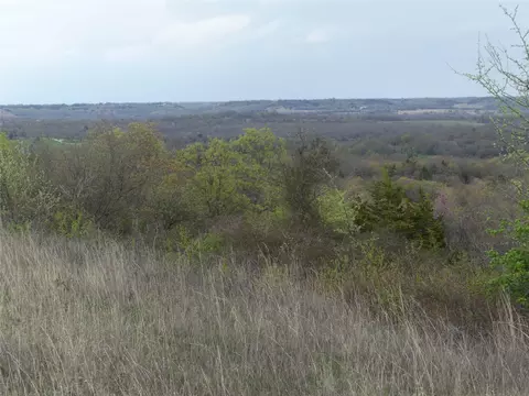 tbd Dye Mound Rd, Forestburg, TX 76239