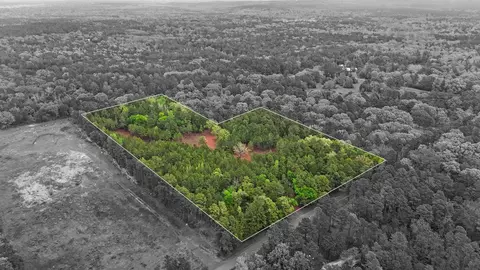 620 County Road 2696, Hawkins, TX 75765