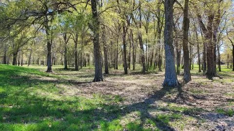 lot6 Deer Creek County Road 355, Terrell, TX 75161