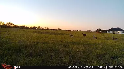 5259 Cr 499, Anson, TX 79501 photo 31