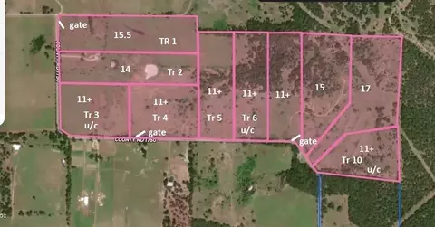 Tr 10 Cr 1750, Chico, TX 76431