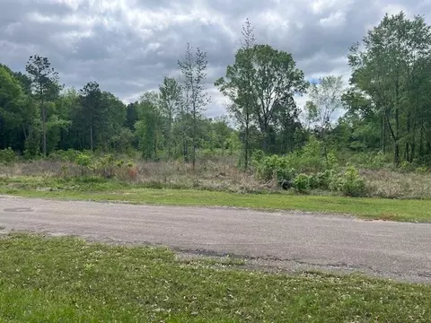 0 Buckskin Dr, Grand Cane, LA 71032