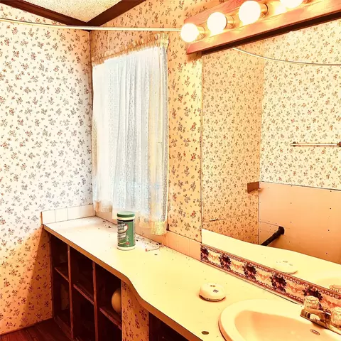 Bath - 458 Jackson Ave, Strawn, TX 76475 photo 1 of 5
