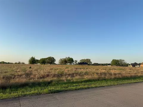 1533 Canyon Lake Rd, Wills Point, TX 75169