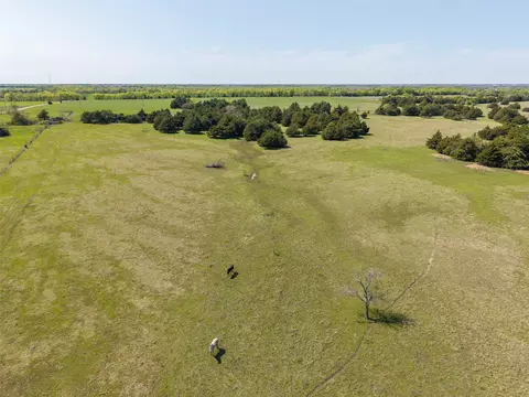 25 Ac County Road 1046, Celeste, TX 75423 photo 6