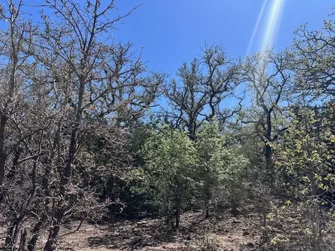 tbd Cnty Rd 454, Olden, TX 76466
