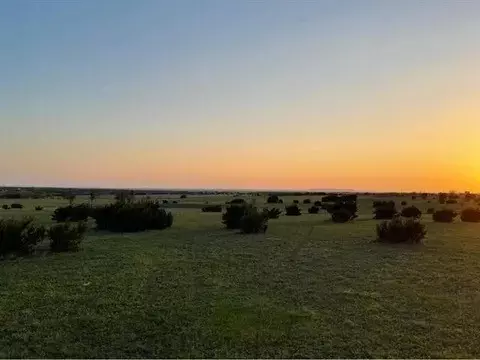 12865 Torello Ct, Godley, TX 76044